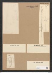 Nitzschia sigma var. ? maxima Gru.n (de-Toni-Nr.: Genus 47, Species 2099) Zeichnungen Sammlung Grunow Nr. 4188 (NHMW-BOT-W0372087)